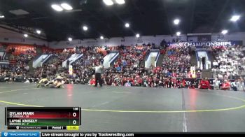 138 lbs Semifinals (8 Team) - Layne Knisely, Bronson HS vs Dylan Marr, St Louis HS