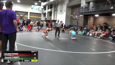 135 lbs Round 4 (6 Team) - Teagan Carritt, Braided Brutes Wrestling vs Lillian Stange, NE Valkyrie