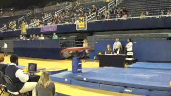 Nicole Artz, Vault, 9.80