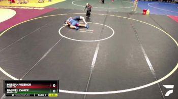 215 lbs Semis & 1st Wrestleback (8 Team) - Gabriel Zwack, Bemidji vs Messiah Vizenor, Foley