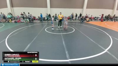 58-61 lbs Quarterfinal - Nathaniel Heard, High Ground Wrestling vs Amber Carucci, Apex Grappling Academy