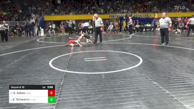 55 lbs Round Of 16 - Sawyer Oakes, Carlisle vs Ethan Schwartz, Plum