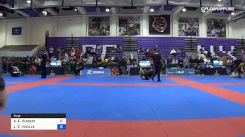 Amanda E. Alequin vs Laurah E. Hallock 2019 Pan IBJJF Jiu-Jitsu No-Gi Championship