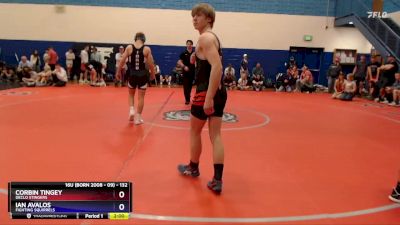 132 lbs Quarterfinal - Corbin Tingey, Declo Stingers vs Ian Avalos, Fighting Squirrels