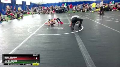 48 lbs Round 2 (8 Team) - Brex Taylor, Ohio Gold 10k vs James Susko, Phoenix WC