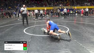 105 lbs Round Of 64 - Ayden Picchi, Lake Lehman vs Owen Ash, Eisenhower