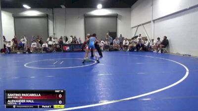 77 lbs Placement Matches (8 Team) - Santino Pascarella, New York vs Alexander Hall, Missouri