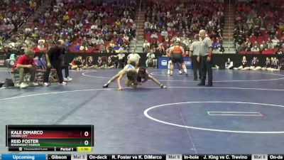 3A-106 lbs Cons. Round 5 - Reid Foster, Bondurant-Farrar vs Kale DiMarco, Mason City