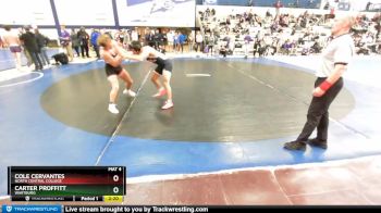 165 lbs Cons. Round 3 - Cole Cervantes, North Central College vs Carter Proffitt, Wartburg