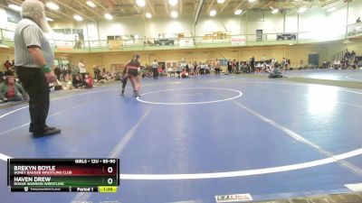 85-90 lbs Round 2 - Haven Drew, Rogue Warrior Wrestling vs Brekyn Boyle, HONEY BADGER WRESTLING CLUB