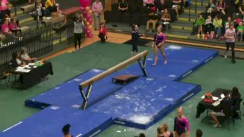 Heather Foley - Beam, Illinois - Illinois at Lindenwood