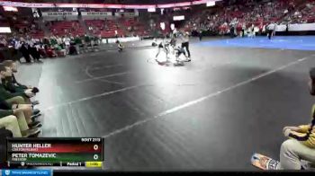D2-106 lbs Cons. Round 1 - Hunter Heller, Chilton/Hilbert vs Peter Tomazevic, Freedom