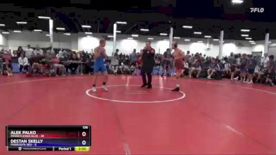 136 lbs Quarters & 1st Wb (16 Team) - Alek Palko, Pennsylvania Blue vs Destan Skelly, Minnesota Red