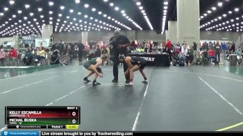 136 lbs Semis (4 Team) - Michal Buska, Tiffin vs Kelly Escamilla, Lindenwood