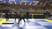 BENJAMIN P DALL vs VICTOR HENG THAI 2024 Pan Jiu Jitsu IBJJF Championship
