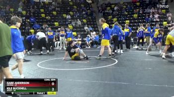 Replay: Mat 2 - 2024 IHSAA(IA)State Dual Team Tournament | Feb 3 @ 9 AM