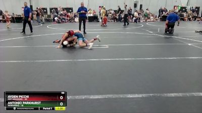 96 lbs Round 1 (4 Team) - Ayden Picchi, Mat Assassins vs Antonio Parkhurst, Warhawks