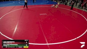 80 lbs Placement (4 Team) - Sullivan McNamara, Hastings vs Jace Riemersma, Worthington