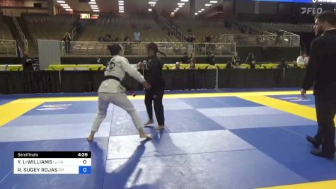 YI LIU-WILLIAMS vs RITA SUGEY ROJAS 2024 Pan Jiu Jitsu IBJJF Championship
