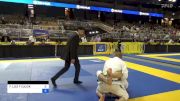 FERNANDO LUIZ F ZULICK vs ZINOVIY TURANSKIY 2024 Pan Jiu Jitsu IBJJF Championship