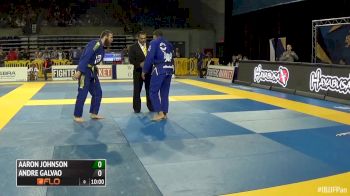 Andre Galvao vs Aaron Johnson IBJJF Pan 2016 Absolute second round