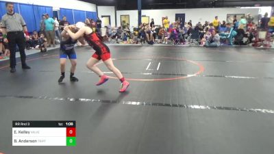 95 lbs Rr Rnd 3 - Emery Kelley, Valley Vengeance vs Benson Anderson, Triple Threat