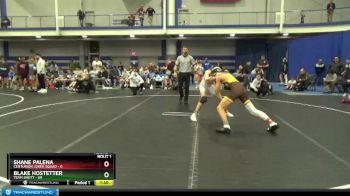 130 lbs Round 1 (8 Team) - Blake Hostetter, Team Shutt vs Shane Palena, Centurion Joker Squad