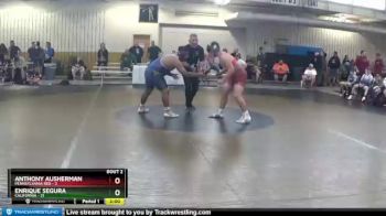 250 lbs Quarterfinals (8 Team) - Anthony Ausherman, Pennsylvania Red vs Enrique Segura, California