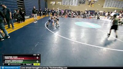 74 lbs Quarterfinal - Ayden Hernandez, Ascend Wrestling Academy vs Hunter Choi, Cherry Creek Wrestling Club