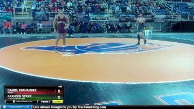 138 lbs Champ. Round 1 - Brayden Starr, Turtle Mountain vs Daniel Fernandez, Minot