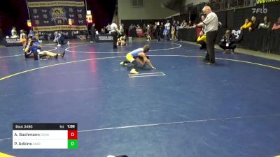 75 lbs Quarterfinal - Adam Bachmann, Council Rock vs Parker Adkins, Saegertown