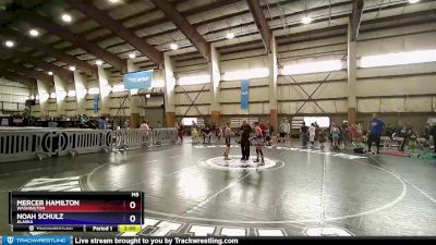 95 lbs Round 2 - Mercer Hamilton, Washington vs Noah Schulz, Alaska