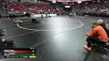 D3-113 lbs Champ. Round 1 - Jesse Burg, Cedar Grove-Belgium vs Ray LeMieux, Coleman