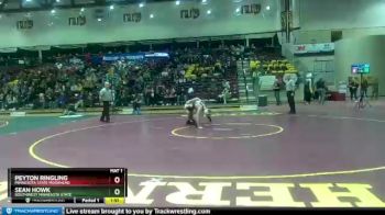 157 lbs Cons. Round 3 - Sean Howk, Southwest Minnesota State vs Peyton Ringling, Minnesota State Moorhead