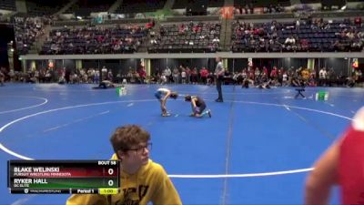 55 lbs Quarterfinal - Ryker Hall, DC Elite vs Blake Welinski, Pursuit Wrestling Minnesota