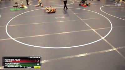 114 lbs Cons. Round 3 - Kamden Haley, Hastings Wrestling Club vs Matthew Mead, Minnesota