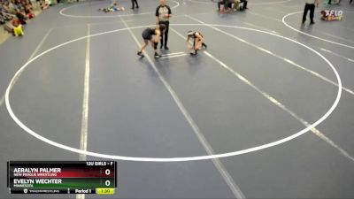 Semifinal - Evelyn Wechter, Minnesota vs Aeralyn Palmer, New Prague Wrestling