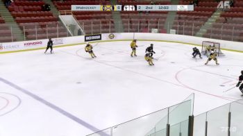 Replay: Home - 2024 STA Sabres vs Red Deer Rebels | Jan 21 @ 11 AM