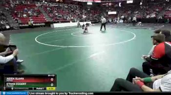 D1-113 lbs 5th Place Match - Ethan Eggert, Pulaski vs Aiden Slama, Milton