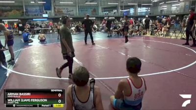 60 lbs Semifinal - Arman Bassiri, Fayetteville vs William (Liam) Ferguson, Short Time