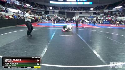 6A 175 lbs Quarterfinal - Ham Mandell, Mountain Brook vs George Mullins, Mae Jemison