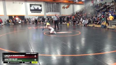 90 lbs Champ. Round 1 - Sawyer Blum, McDominate Training Center vs Lincoln Robertshaw, DC Elite