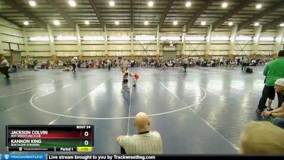 42 lbs Quarterfinal - Kannon King, Box Elder Stingers vs Jackson Colvin, Roy Wrestling Club