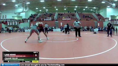 195 lbs 1st Place Match - Ceasar Salas, Merrillville Pirates Wrestling vs Lane Hewig, Maurer Coughlin Wrestling Club