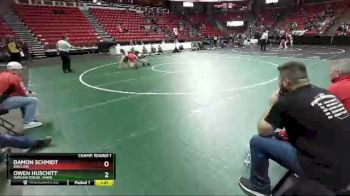 D2-182 lbs Champ. Round 1 - Damon Schmidt, Brillion vs Owen Huschitt, Darlington/Bl. Hawk