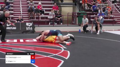 125 kg Rr Rnd 1 - Anthony Cassioppi, Hawkeye WC vs Zach Elam, Tiger Style Wrestling Club