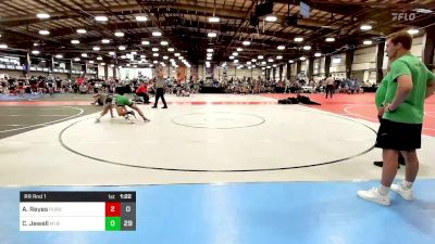 145 lbs Rr Rnd 1 - Angel Reyes, Pursuit Wrestling Academy HS2 vs Colin Jewell, MI Bad Boys Gold