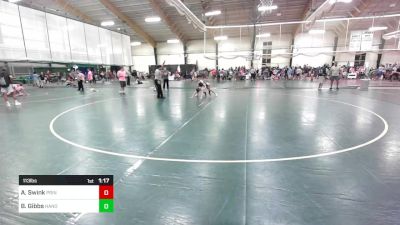 113 lbs Consolation - Anthony Swink, Prince George Youth Wrestling Association Inc. vs Brodie Gibbs, Hanover Hawkeye Youth Wrestling