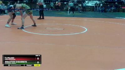 3 - 165 lbs Semifinal - Sebastian Gabarrete, Culpeper County vs TJ Piluso, Lord Botetourt