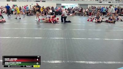 157 lbs Round 4 (6 Team) - Sebastian Crow, Finger Lakes Elite vs Nate Jacobs, Gator Dawgs